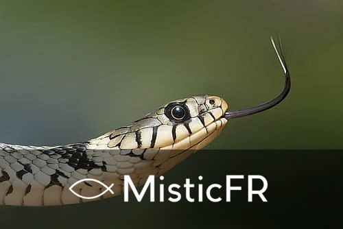 Rêver de nombreux serpents