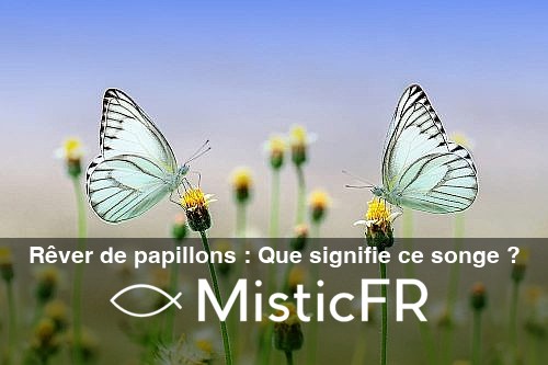 Rever_de_papillons__Que_signifie_ce_songe_
