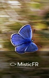 Rêver de papillons : Que signifie ce songe ?