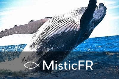 Rêver de poisson dans le Jeu de l'Animal