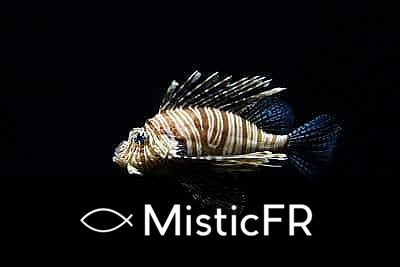 Rêver de poisson dans le Jeu de l'Animal