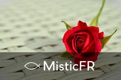 Rêver de roses rouges