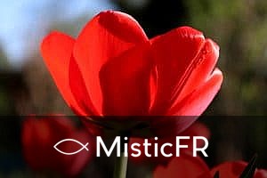Rêver de sang menstruel