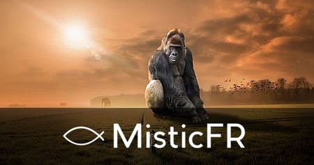 Rêver de singes dans le Jeu de l'Animal