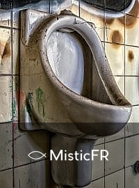 Rêver de toilettes : Que signifie ce songe ?