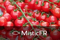 Rêver de tomates